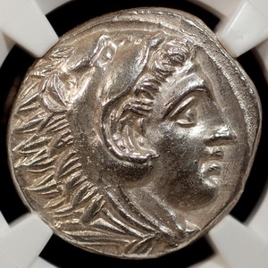 Potential-New-Addition